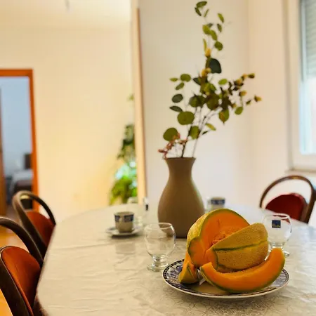 Oak Corner * מוסטר